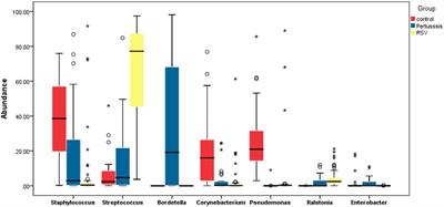 Differences in the effects of Bordetella pertussis and respiratory syncytial virus infection on the composition of nasopharyngeal flora in neonates